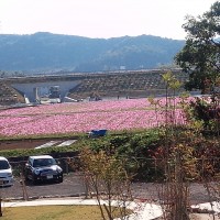 IMG_20151016_142155[1]