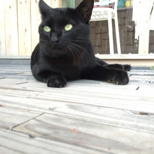 写真 2015-10-20 16 03 33