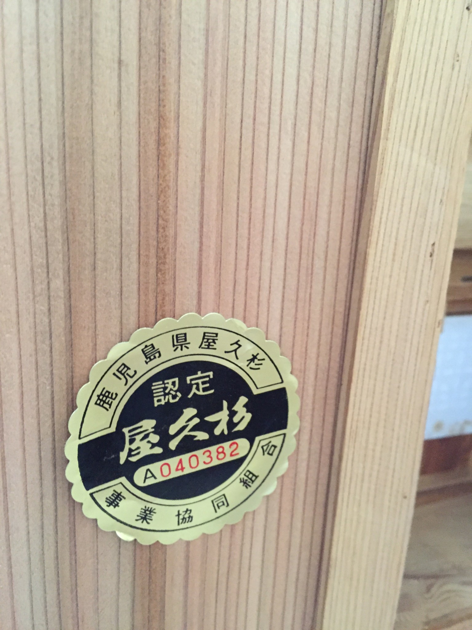 写真 2016-01-04 10 13 36