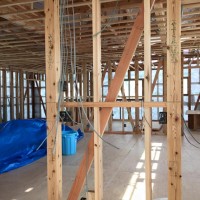 12800276_233305483679557_1368518746895888017_n