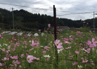 !cid_A3C8A4FC-6063-413C-A2E0-A26B24B81DDA